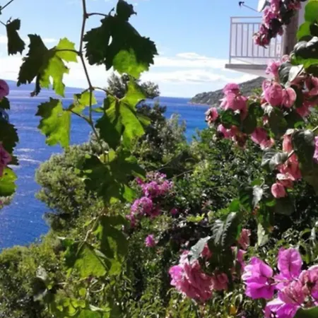 Oleandar דירה פיסק