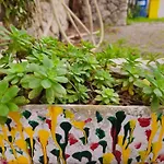 Apartman Oleandar